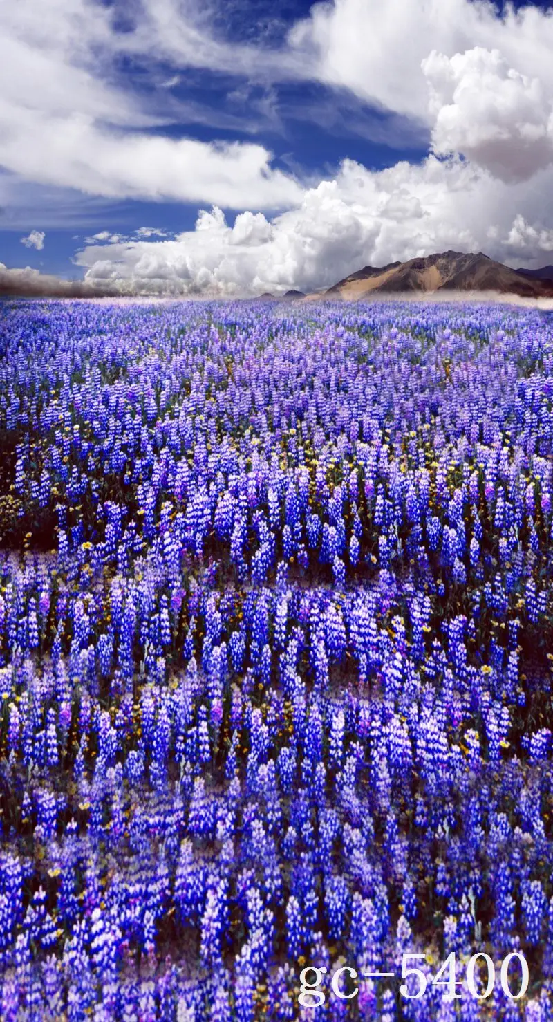 

3*5M Art Cloth Custom Photography Backdrops Prop Indoor theme Studio Background GC-5400