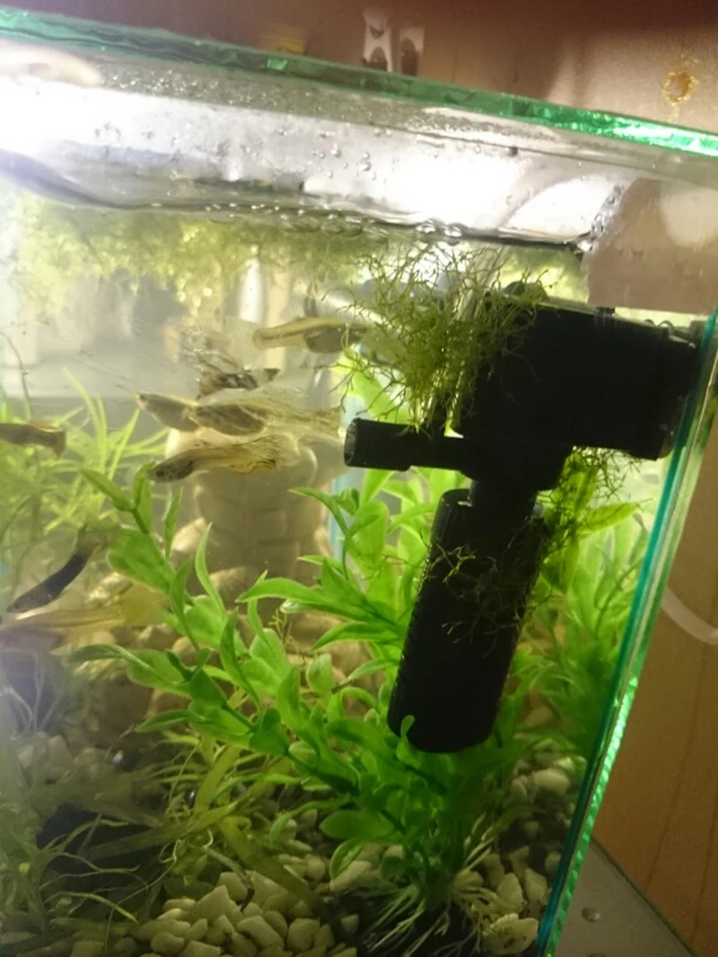 UT8v1OzXKBaXXagOFbXf