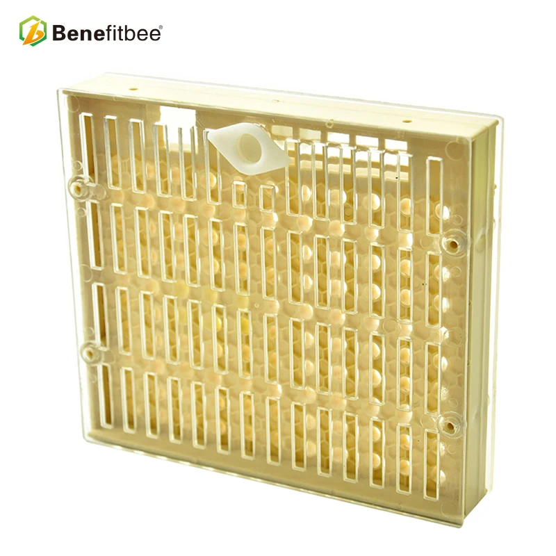 Выгода Apicultura пчеловодная королева Rearing Cup kit Box 110x коричневая система Cell Cupularve Tools