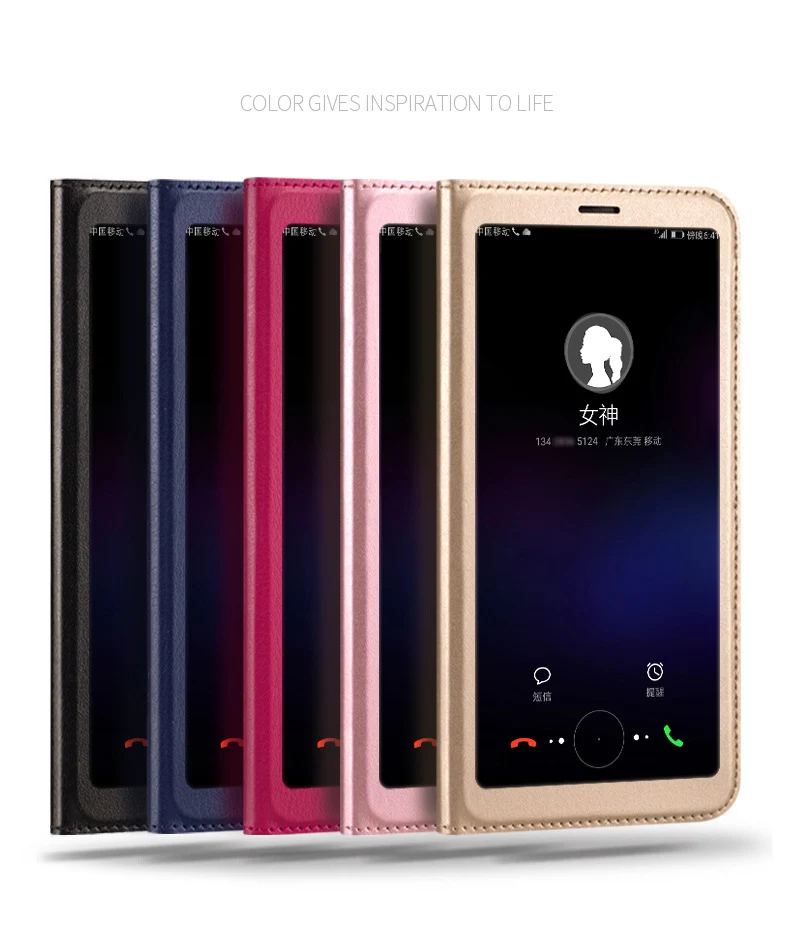 8195398373_545576531