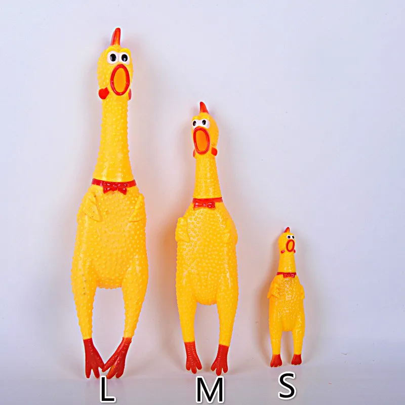 penis gag toy penis gag toy