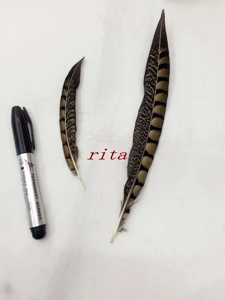 100pcs25-30cm10-12inch amherst перья фазана Природные Перья Шлейф объемные украшения из перьев