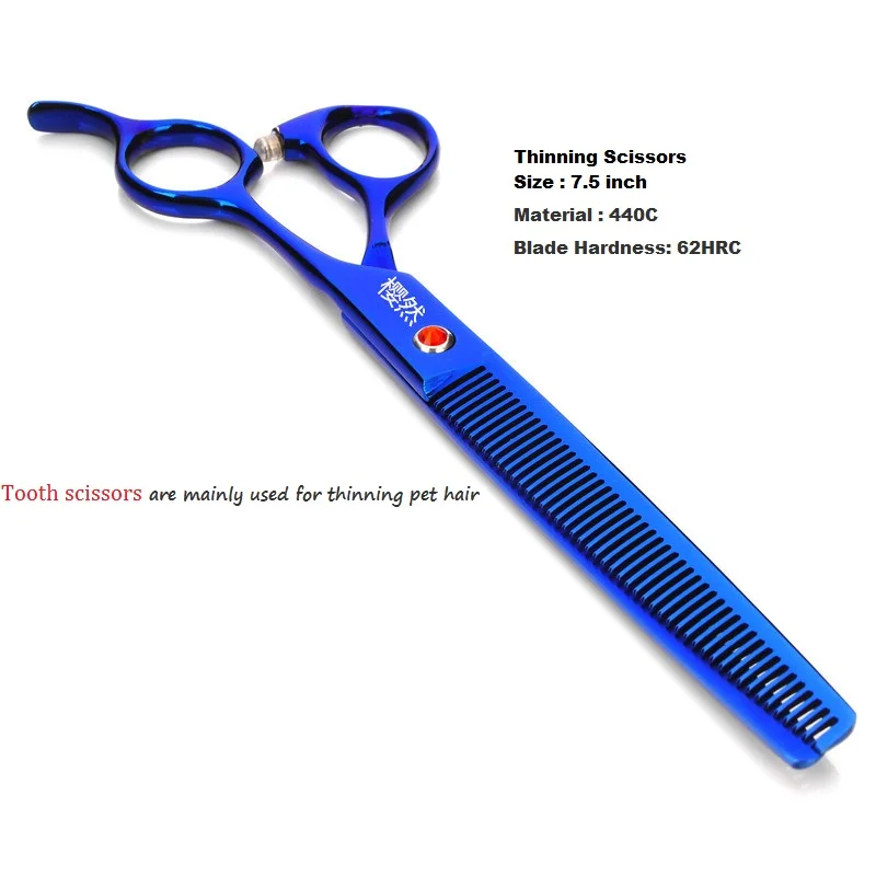 3731090616_1463925218