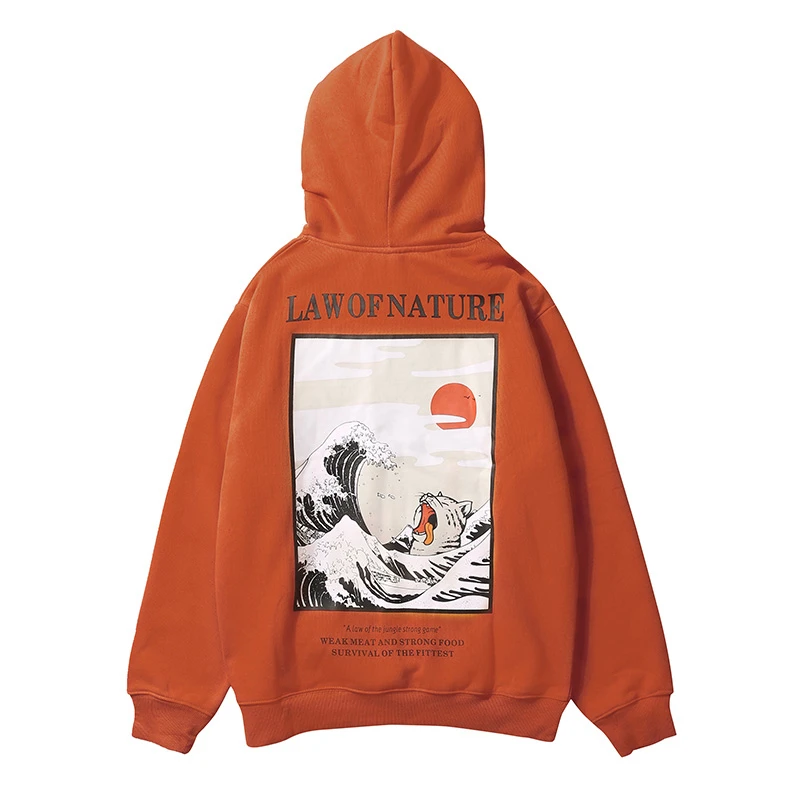 РћРґРµР¶РґС‹ С…СѓРґРё Dakota Hoody