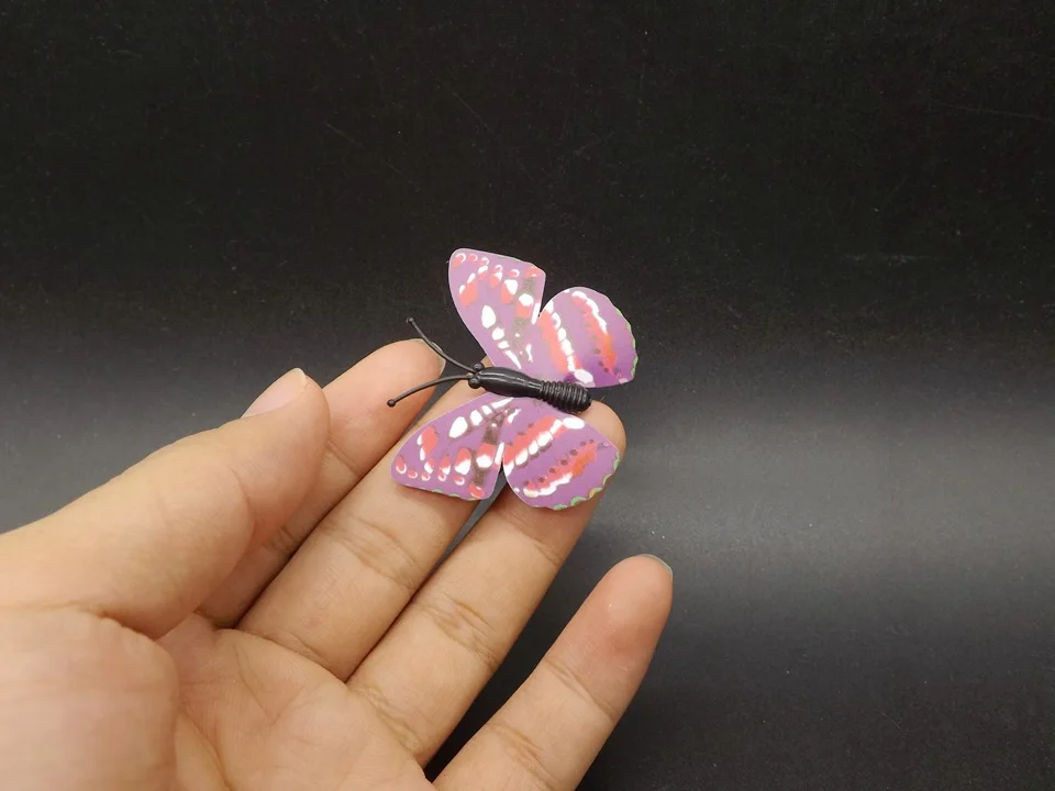 I247-Butterfly (2)