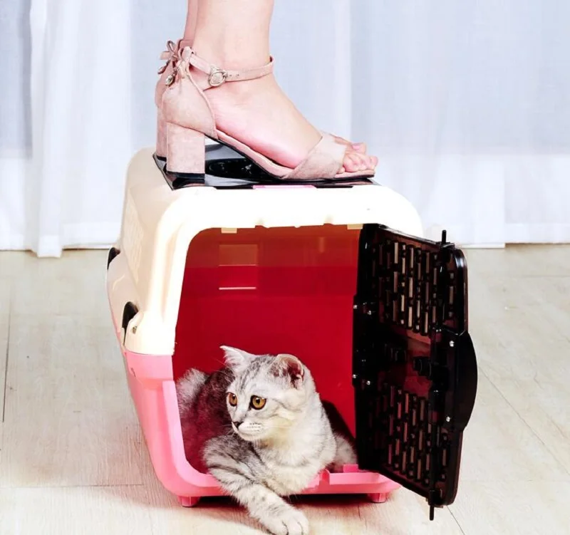 Hot Vervoer Huis Hond Wandelen/Winkelen/Reis Kennel Hond/Kat Pet vliegreizen box Carrier Kooi Huisdier capsule Zak Hot Vervoer Huis Hond Wandelen/Winkelen/Reis Kennel Hond/Kat Pet vliegreizen box Carrier Kooi Huisdier capsule Zak