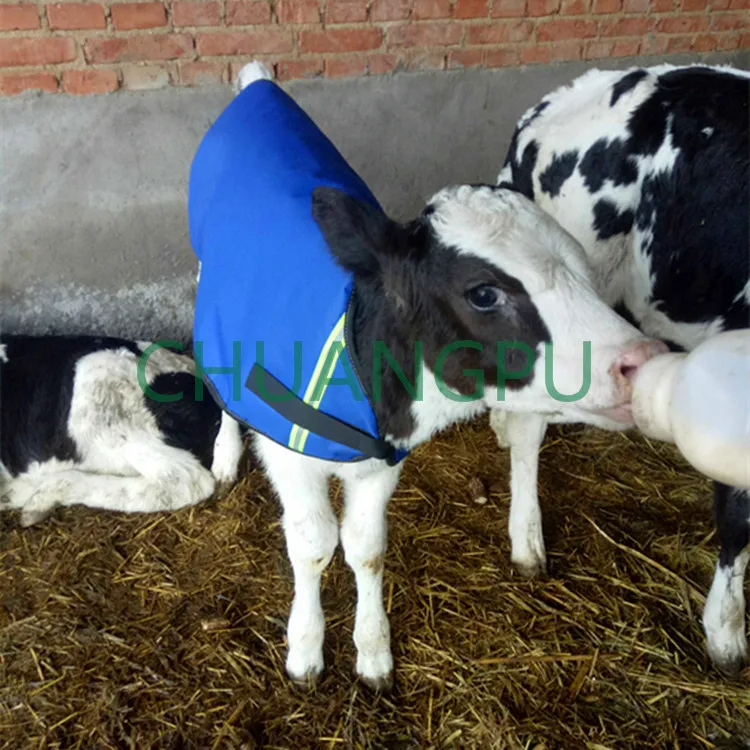 

Calf Warm Clothes, Calf Vest, Calf Thick Warm Silk Warm Clothing