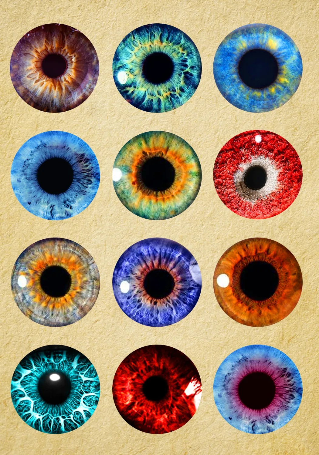 Картина из радужки глаза. Двухцветная радужка глаза. Сделай радужки. Сделай радужки. Золотая радужка глаза.