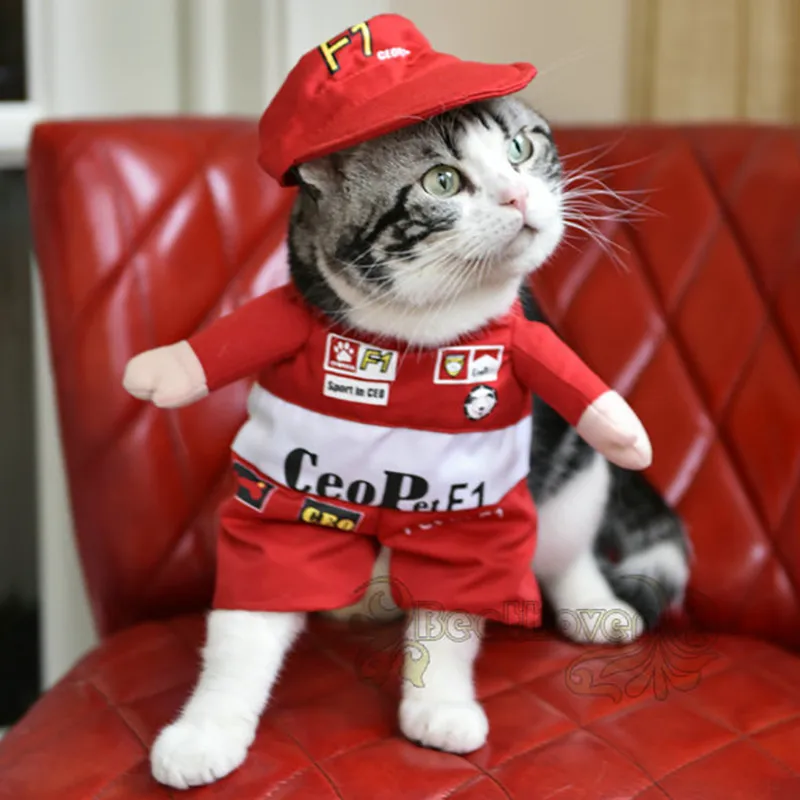 Pet-Costume-Suit-Funny-Cat-Racer-Standing-Costume-Cosplay-Clothes-For-Small-Medium-Dogs-Puppy-Party (1)