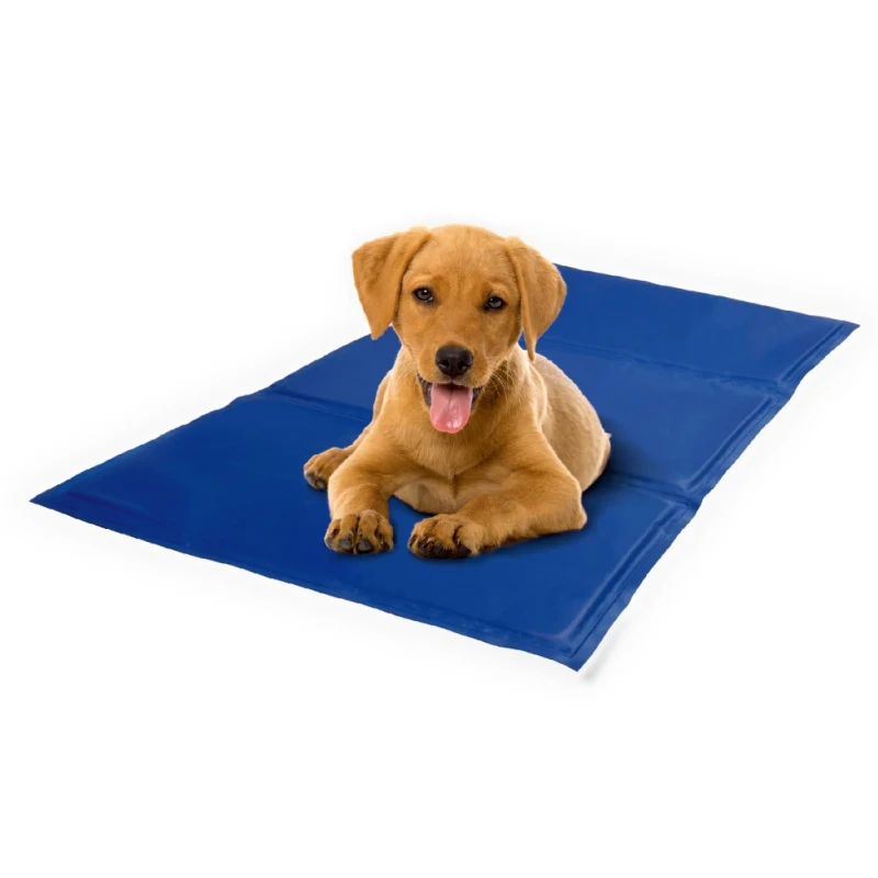 dog bed pads