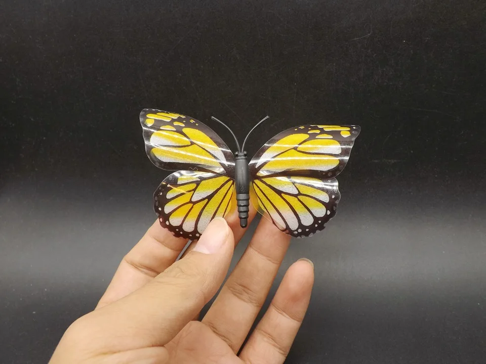 I271-Butterfly (1)