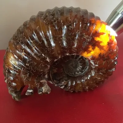 6129370259_1719669973.400x400