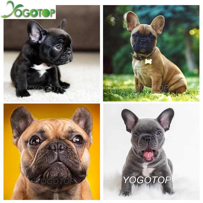 

YOGOTOP Needlework DIY Diamond Painting Cross Stitch French Bulldog dog Diamond Embroidery Full Rhinestone Mosaic Crafts QA122
