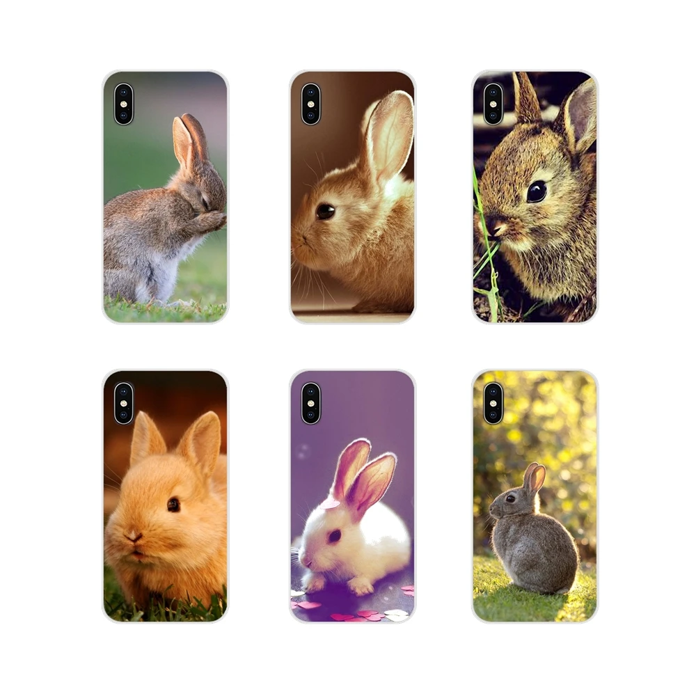 Аксессуары чехлы для телефонов Apple iPhone X XR XS MAX 4 4S 5 5S 5C SE 6 6S 7 8 Plus ipod touch забавный