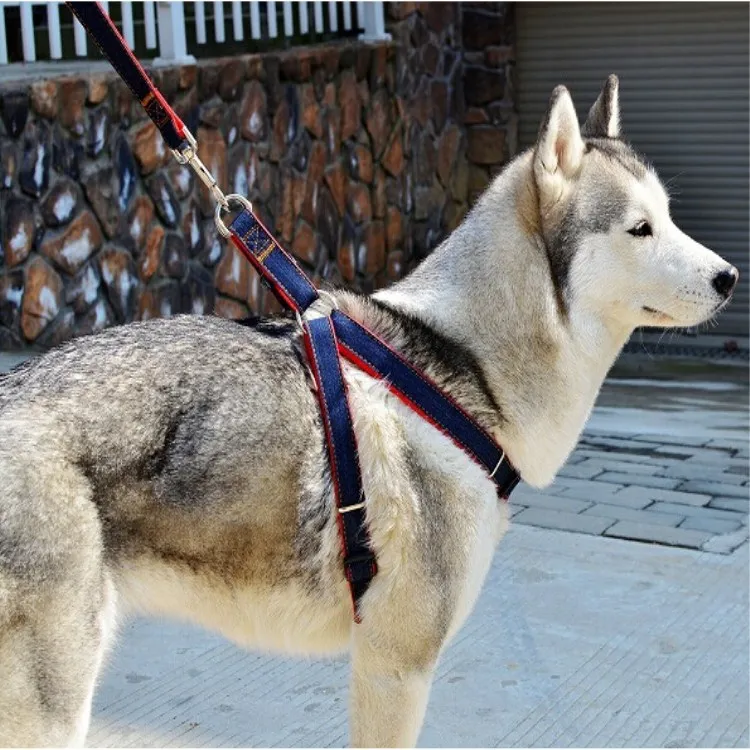 Rope Dog Leads Pets At Home Rope Dog Leads Pets At Home