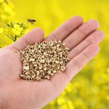 1000 шт пчелиный улей латунный каркас гнезда люверсы пчеловоды инструменты для пчеловодства