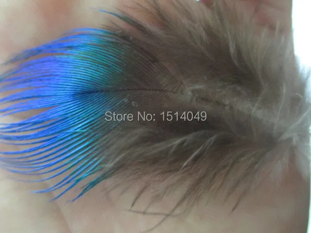 75 Pcs BLEACHED PEACOCK SWORDS Natural Feathers10-12/" ; Costume//Hats//Haloween