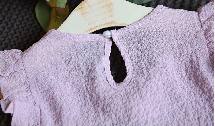 3889569701_1526742229