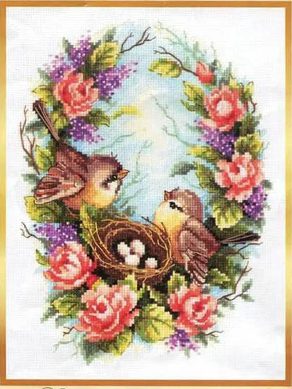 cs404               101X148X35