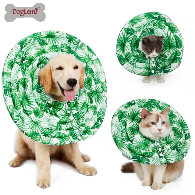 protective inflatable pet collar