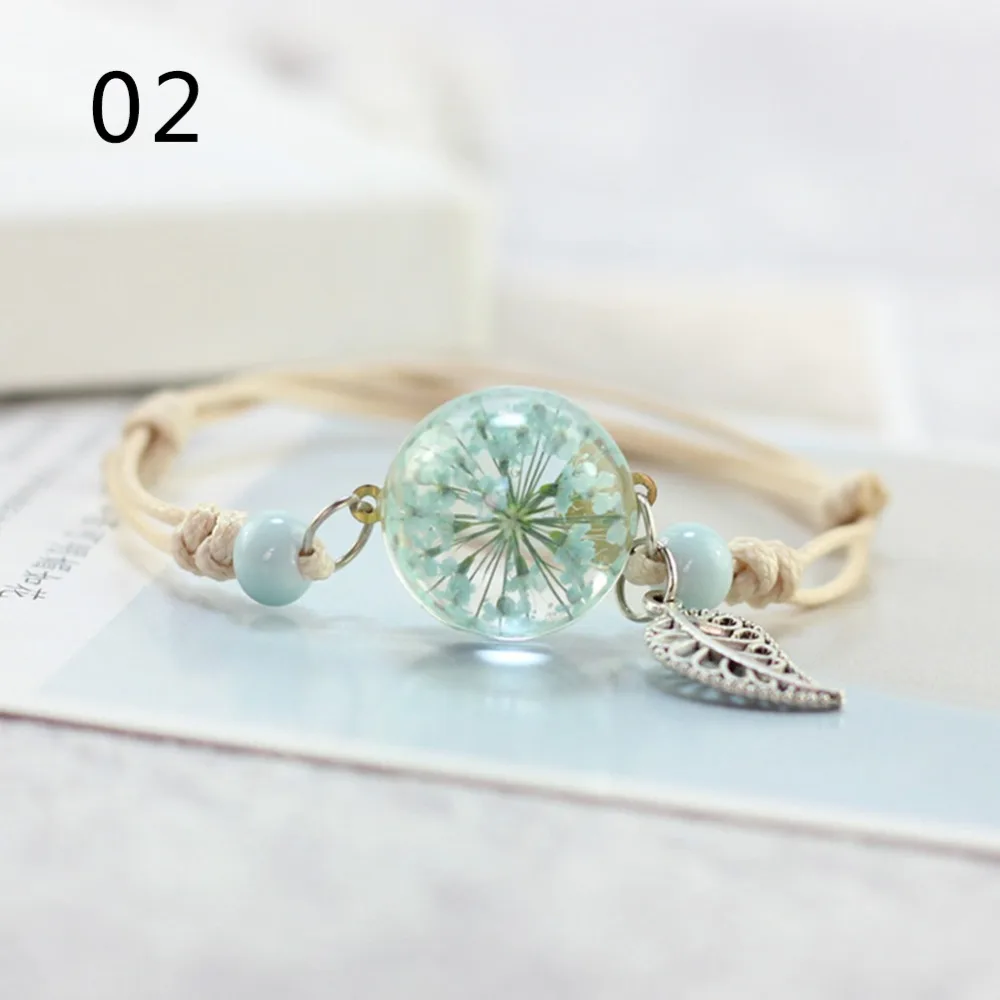 294955_no-logo_294955-2-02