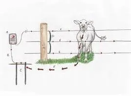 ZORASUN 12KV 0.5J Солнечная ферма Электрический забор энергетический ограждение зарядное устройство контроллер для управления животноводством овец лошадей крупного рогатого скота