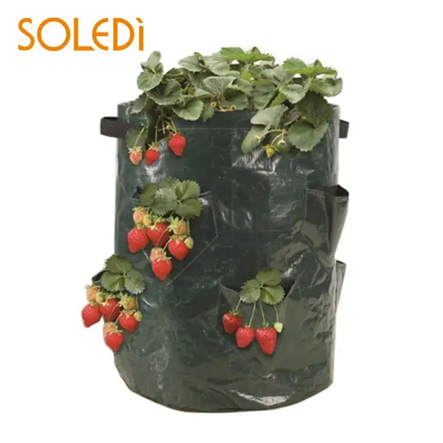 Plantador de fresa bolsas para el cultivo fresa al aire libre jardín