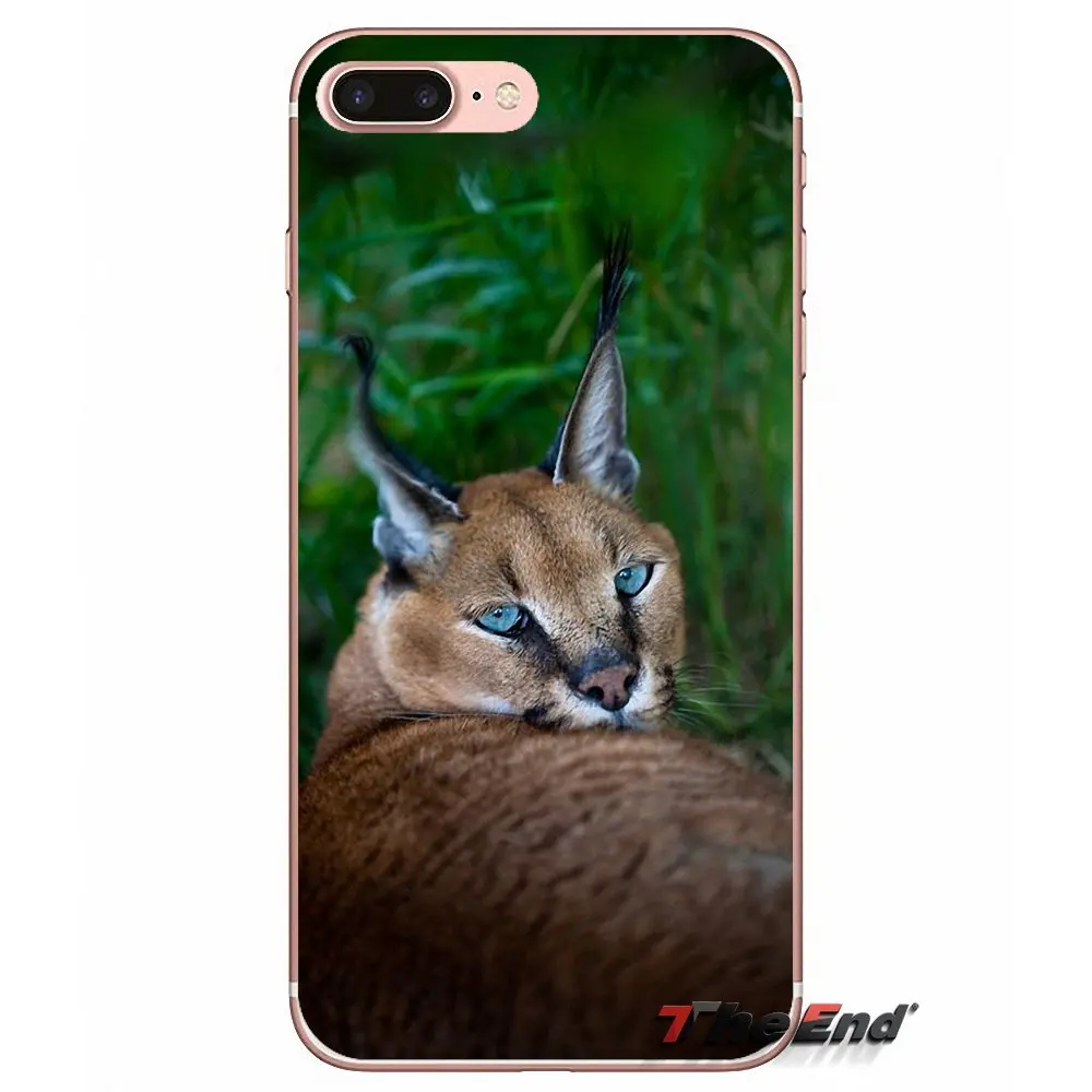 Мягкий ТПУ чехол для Xiaomi Redmi 4 3 3S Pro Mi3 Mi4 Mi4i Mi4C Mi5 Mi5S Mi Max Note 2 Africa Lynx Caracals kitten|tpu case|note