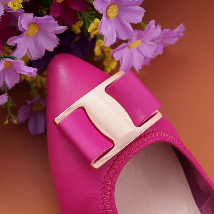 Lady Ballet Flat Shoes Spring 2018 Fashion Moccasins Women Shoes Pointed Toe Pregnant Women Loafers Genuine Leather Female Shoes (19)