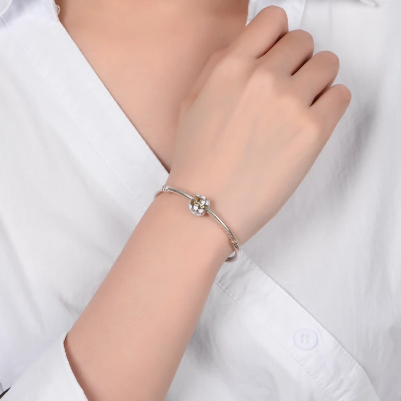 WL089c