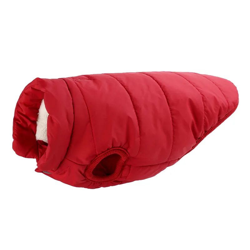 small dog apparel