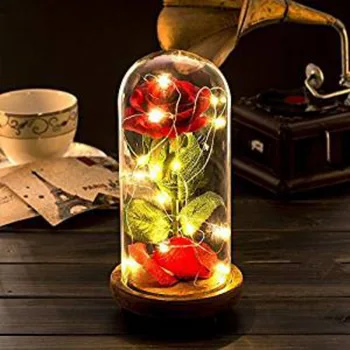 

LED Beauty Rose and Beast USB Powered Red Flower String Light Desk Lamp Romantic Valentine's Day Birthday Gift Decoration