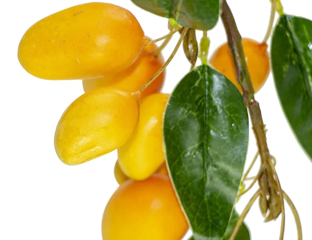 Rinlong Artificial Mango Branch (7)