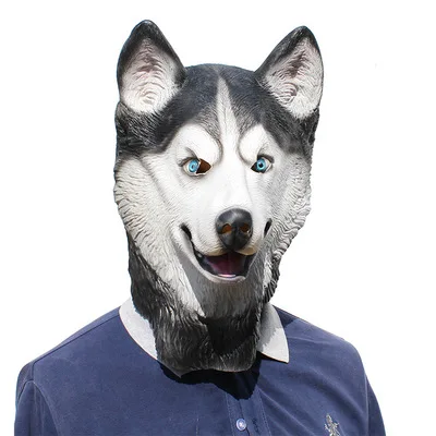 8929269647_1132094720.400x400