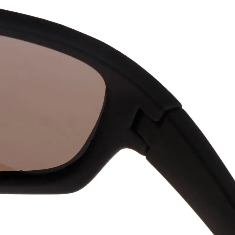 2SS100866-6