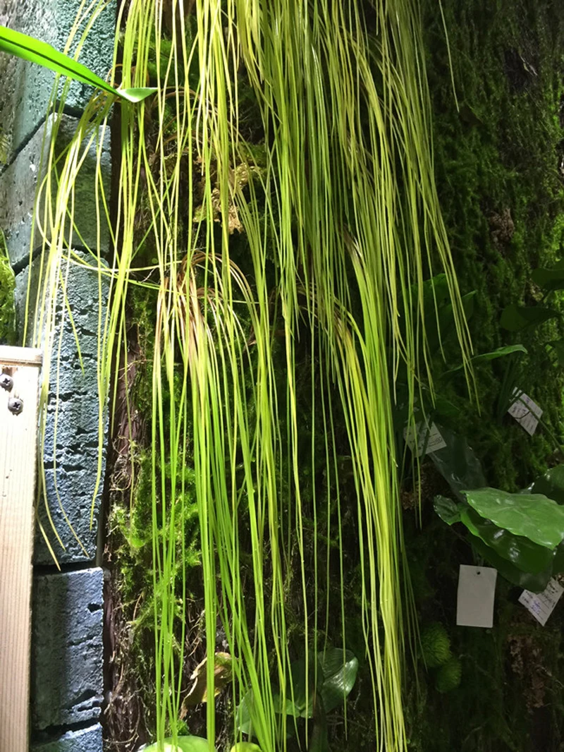 HTB1e5qNRFXXXXaiXpXXq6xXFXXXV