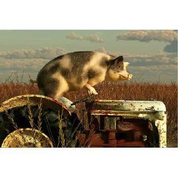 

Full square diamond embroidery pig home decoration diy 5d diamond painting Cross Stitch tractor rhinestone Mosaic Pattern