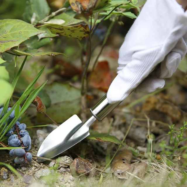 Mini outil de jardinage en acier inoxydable, pelle à extrémité