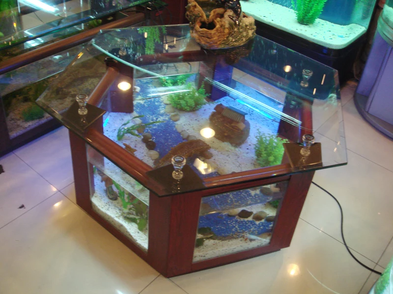 De layout maag kunst 1 meter zeshoekige tafel aquarium aquarium glas goudvissenkom ecologische  gratis water veranderingen kan worden aangepast geprijsd van verzending -  AliExpress Gereedschap