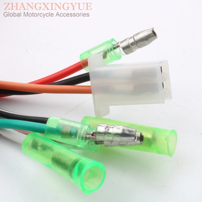 zhang1200004