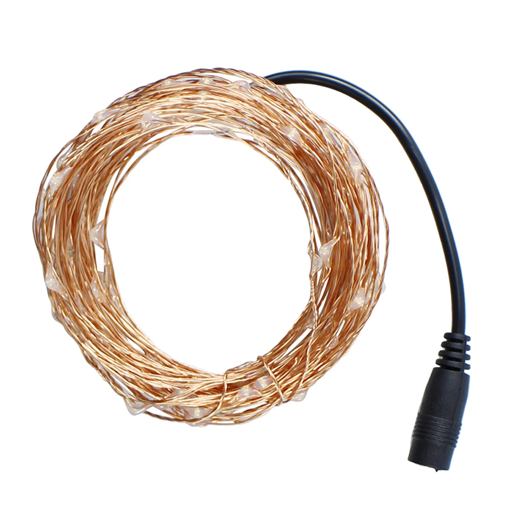 DC12V 10M 100led copper wire waterproof Led String light festival