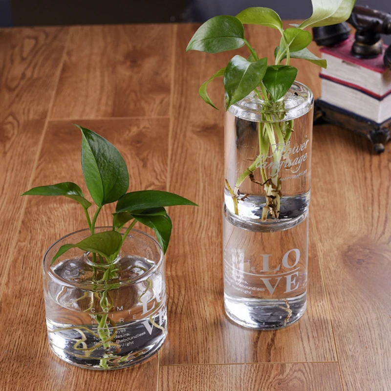 Стеклянная ваза для растений в скандинавском горшке прозрачная узкая открывающаяся бутылка цветочный горшок гидропонный Стеклянный Горшок для украшения дома и свадьбы