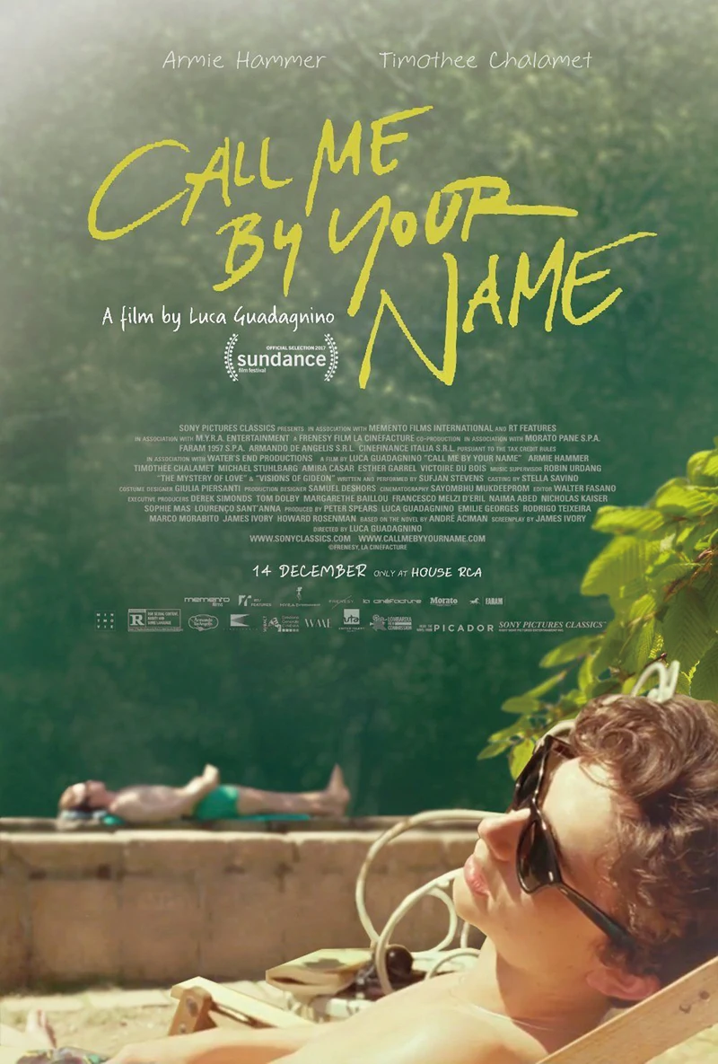 D892 Call Me By Your Name Movie Luca Guadagnino Film 2 Silk Poster Art