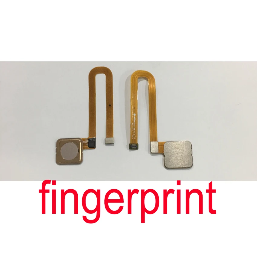 fingerprint