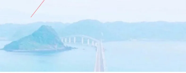 4_conew1