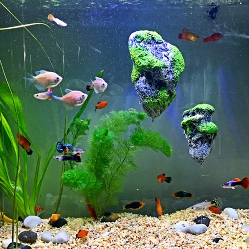 (9)