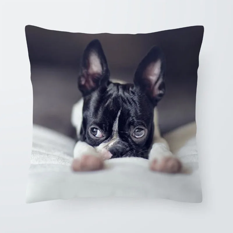 الصلصال شيه تزو وسادة غطاء الكلب بوسطن جحر وسادة حالة العرقية خزانة الهدايا المنزل الديكور وسادة مع غطاء كبير المخملية