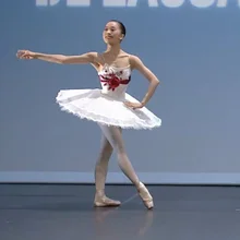 New Adult Swan Lake Ballet Dance Costumes Professional Platter Tutu Ballet Dress Women Girl Ballerina Costume Leotard Dancewear