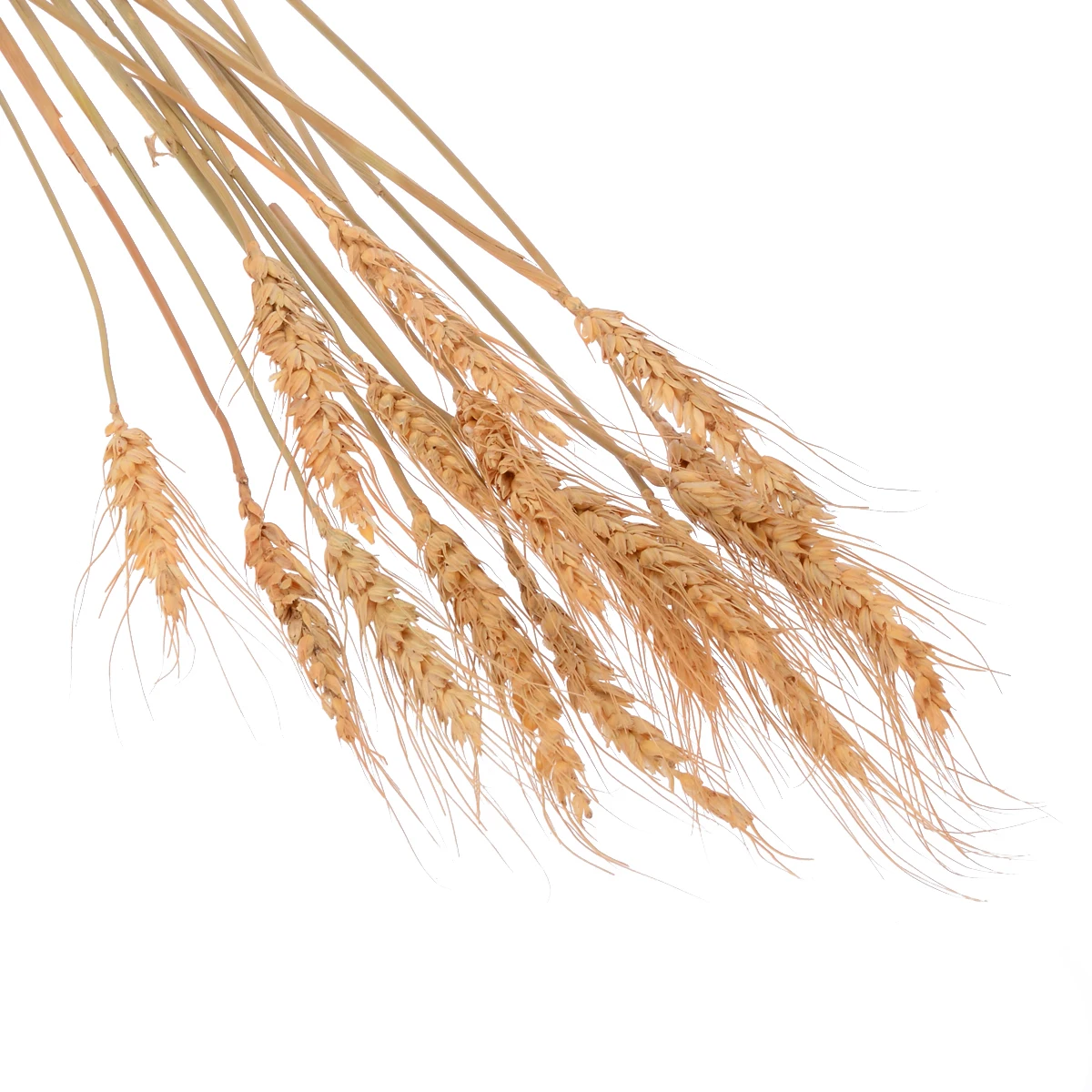 15 шт. 1 ветка пшеницы сушеная Пшеница букет фотосессия реквизит Свадебная вечеринка домашний декор с рисунком растений