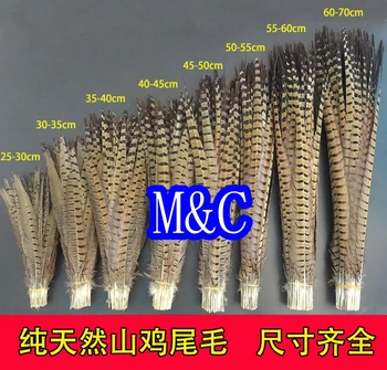 

10pc natural color ringneck pheasant tails Feather 50-55cm 20-22inch